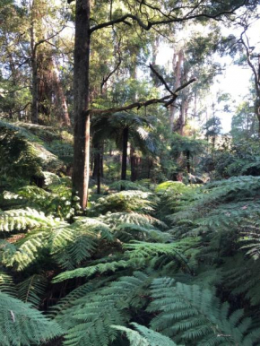 Emerald Creek Cottages, Emerald